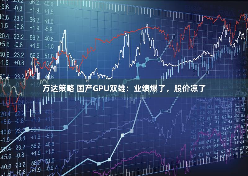 万达策略 国产GPU双雄：业绩爆了，股价凉了