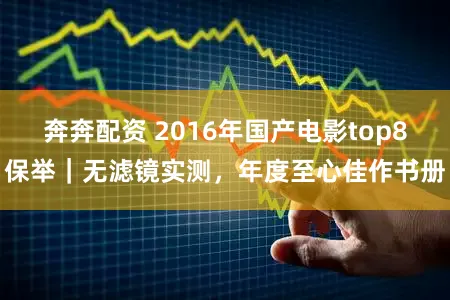 奔奔配资 2016年国产电影top8保举｜无滤镜实测，年度至心佳作书册