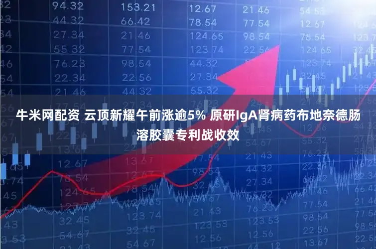 牛米网配资 云顶新耀午前涨逾5% 原研IgA肾病药布地奈德肠溶胶囊专利战收效