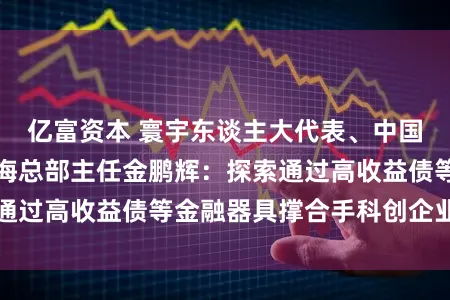 亿富资本 寰宇东谈主大代表、中国东谈主民银行上海总部主任金鹏辉：探索通过高收益债等金融器具撑合手科创企业融资