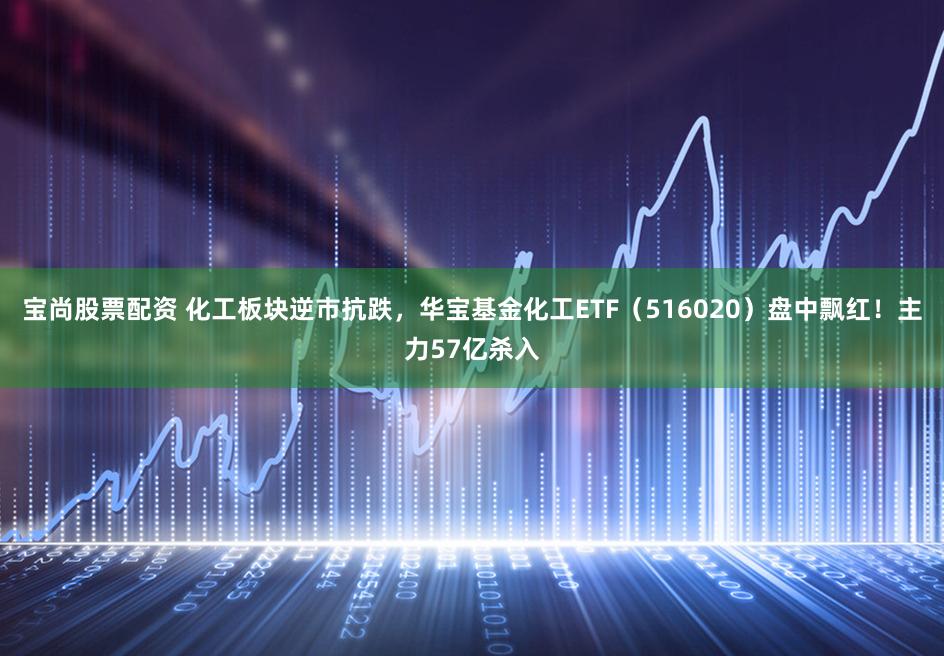 宝尚股票配资 化工板块逆市抗跌，华宝基金化工ETF（516020）盘中飘红！主力57亿杀入
