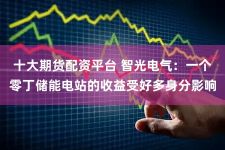 十大期货配资平台 智光电气：一个零丁储能电站的收益受好多身分影响