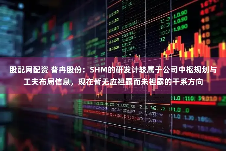 股配网配资 普冉股份：SHM的研发计较属于公司中枢规划与工夫布局信息，现在暂无应袒露而未袒露的干系方向