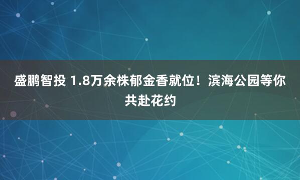 盛鹏智投 1.8万余株郁金香就位！滨海公园等你共赴花约