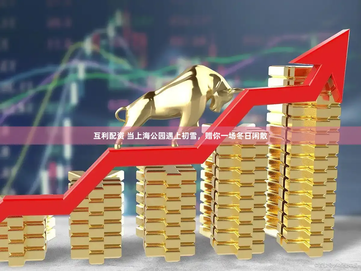 互利配资 当上海公园遇上初雪，赠你一场冬日闲散